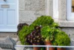 Front Of House Landscaping Ideas Uk